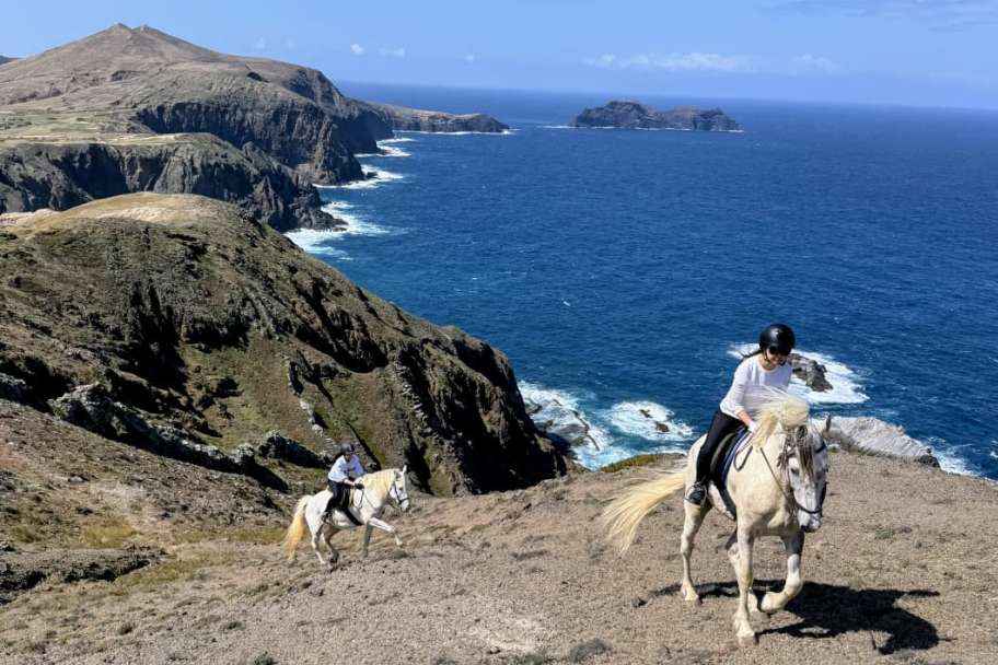 Advanced Horse Riding in Porto Santo – Trotting and Galloping