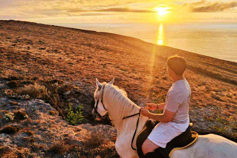 Advanced Horse Riding in Porto Santo – Trotting and Galloping