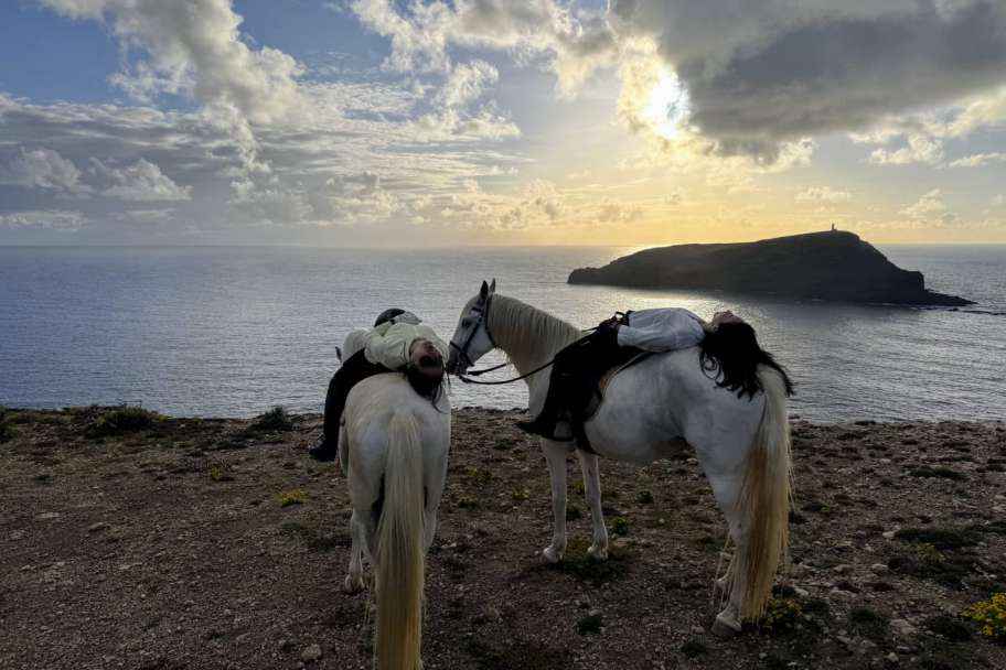 Advanced Horse Riding in Porto Santo – Trotting and Galloping