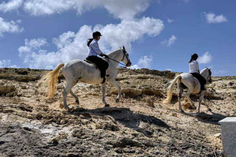 Advanced Horse Riding in Porto Santo – Trotting and Galloping