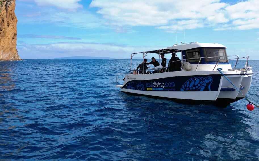 Boat dives in Madeira’s best dive sites for certified divers