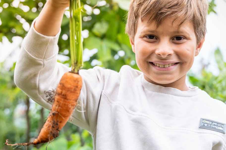 From Garden to Table – Rural Cottage Culinary Experience in Madeira