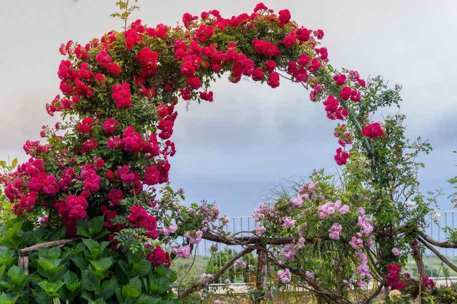 From Garden to Table – Rural Cottage Culinary Experience in Madeira