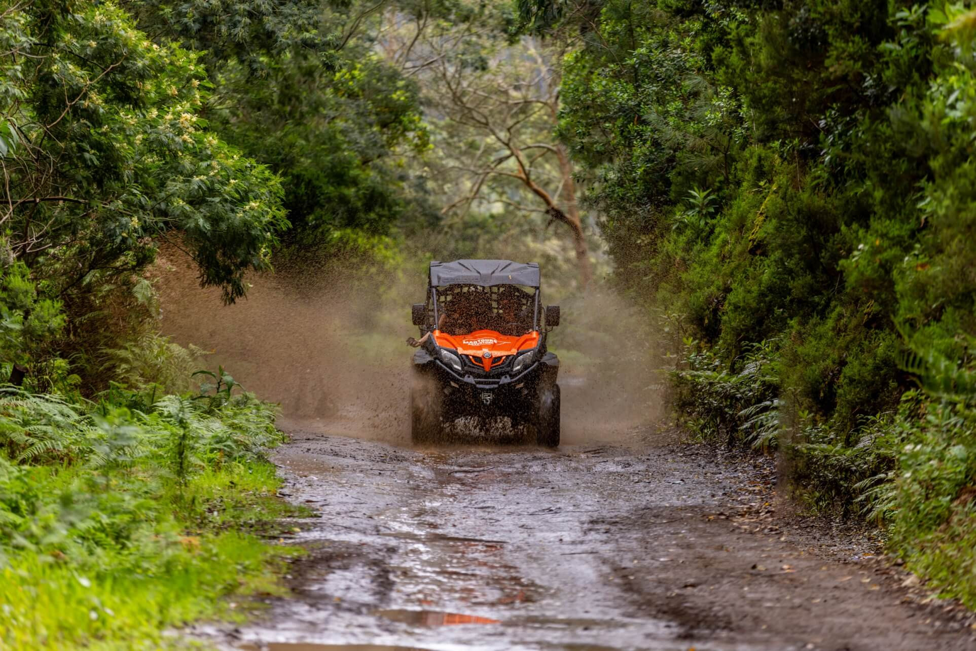 Funduras Buggy Tour in Madeira