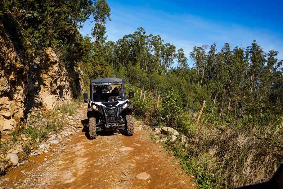Guided Off-Road Buggy Adventure in Madeira – Pure Adrenaline & Nature