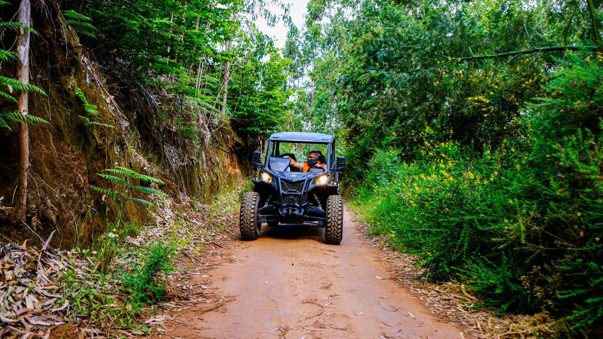 Guided Off-Road Buggy Adventure in Madeira – Pure Adrenaline & Nature