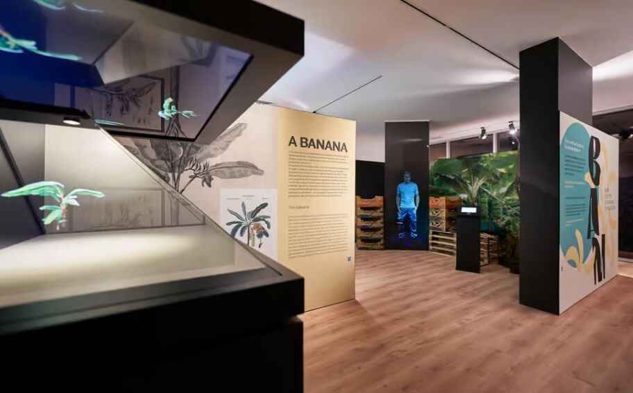 Guided Tour of Banana Museum in Ponta Do Sol, Madeira