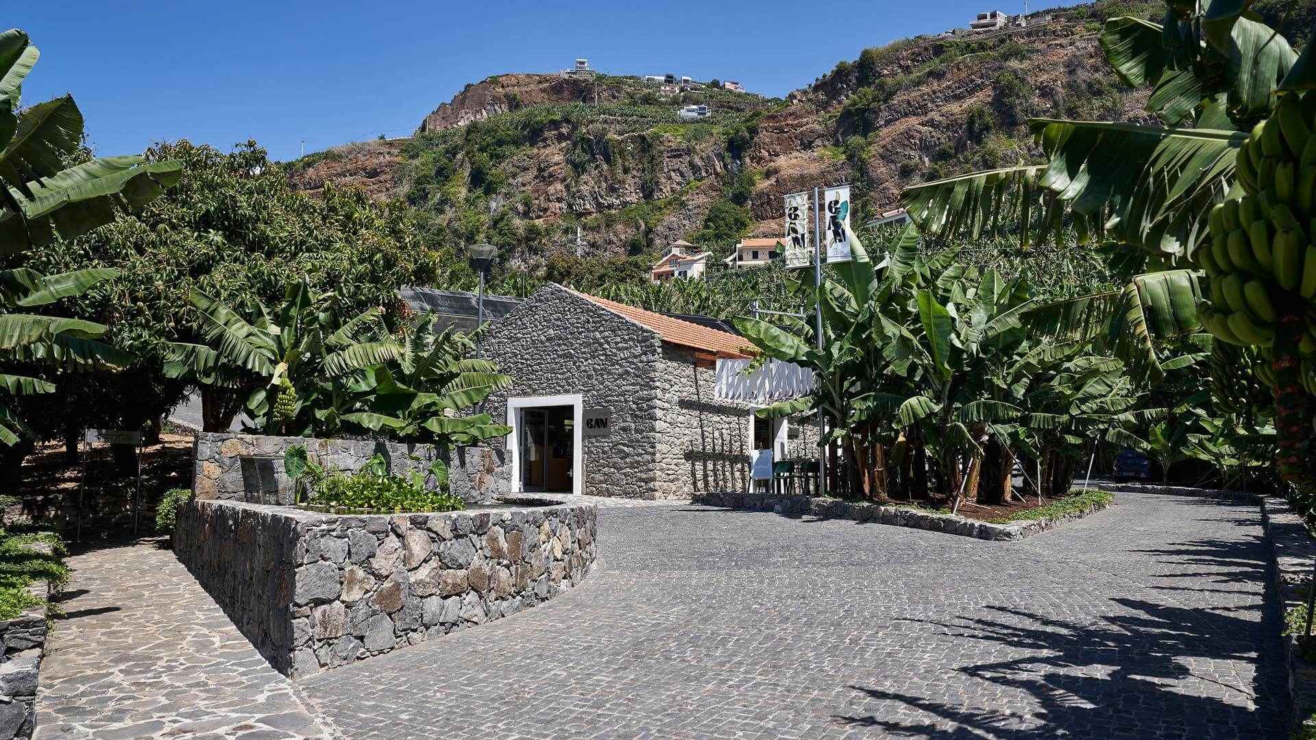 Guided Tour of Banana Museum in Ponta Do Sol, Madeira