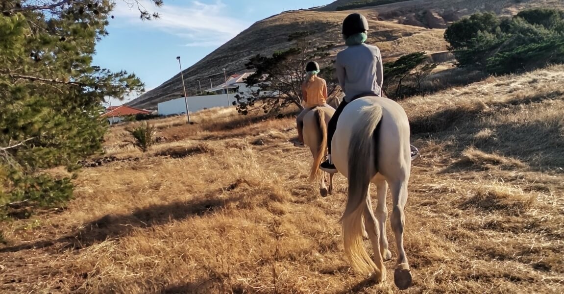 Horse Riding in Porto Santo on the Dunes