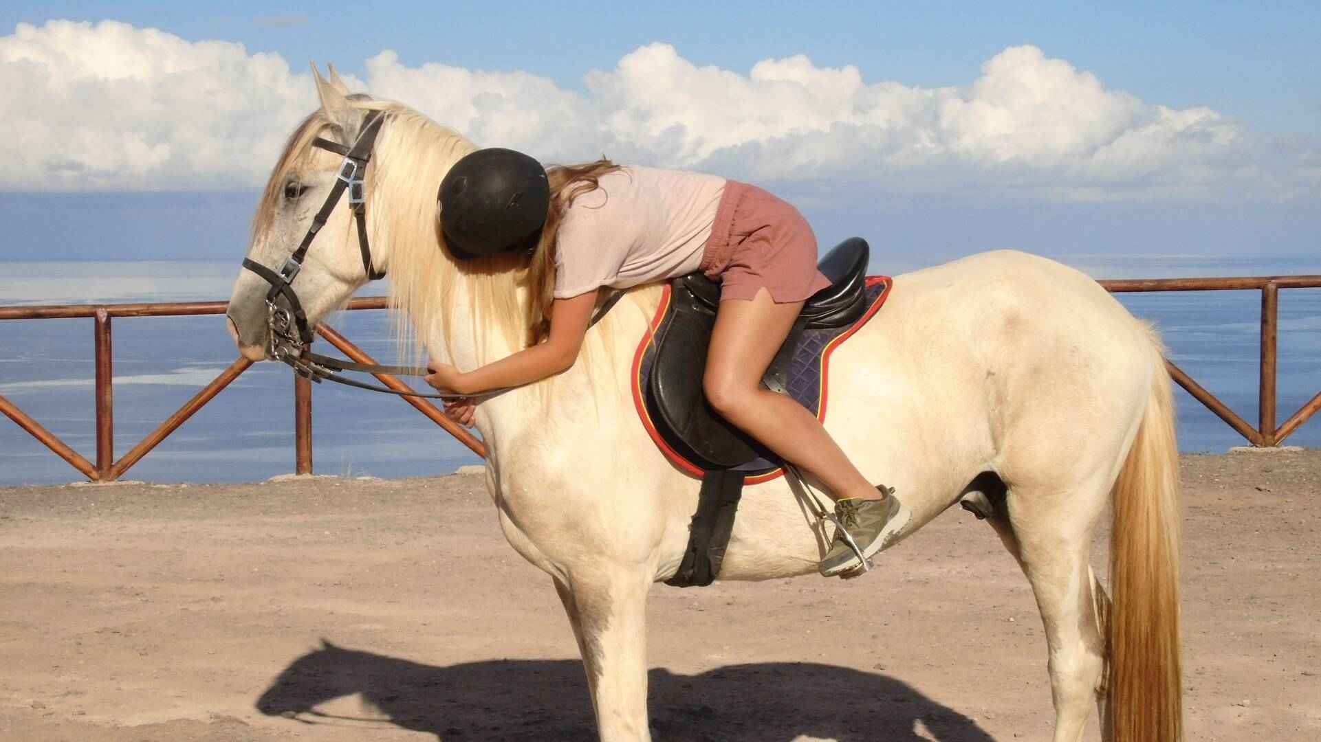 Horse riding in Porto Santo Flores Viewpoint