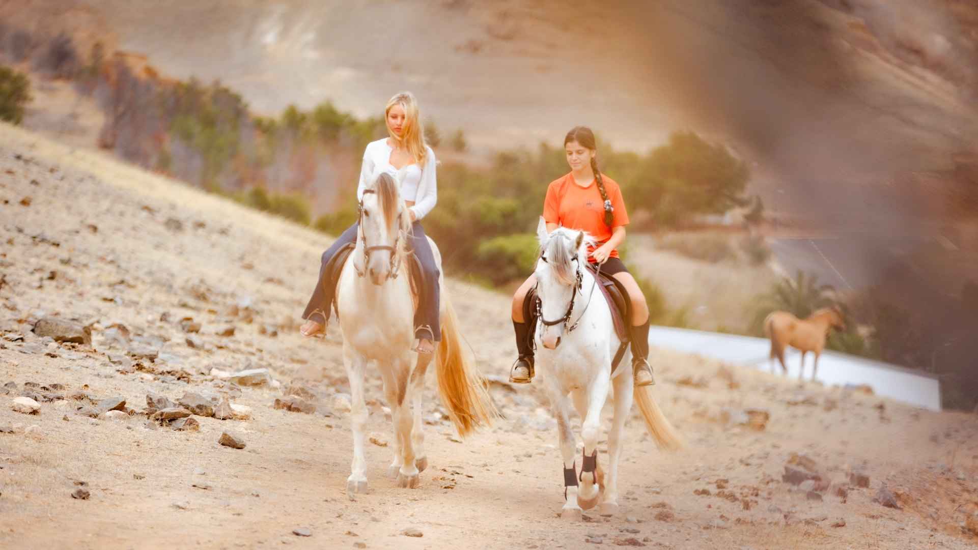Horse Riding in Porto Santo - Miradouro do Cabeço