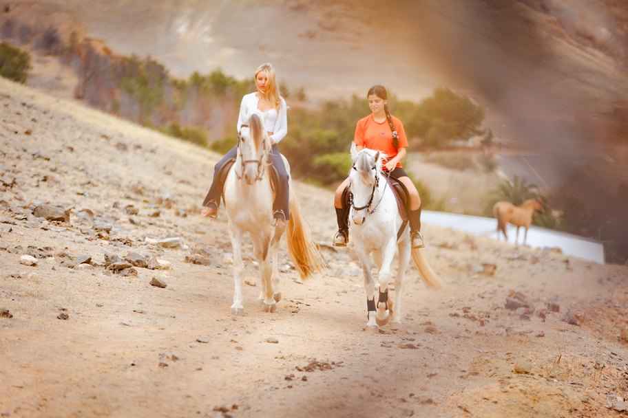 Horse Riding in Porto Santo - Miradouro do Cabeço