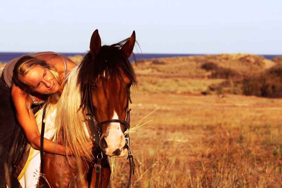 Horse Riding in Porto Santo - Miradouro do Cabeço