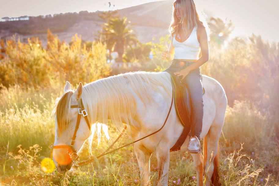 Horse Riding in Porto Santo on the Dunes