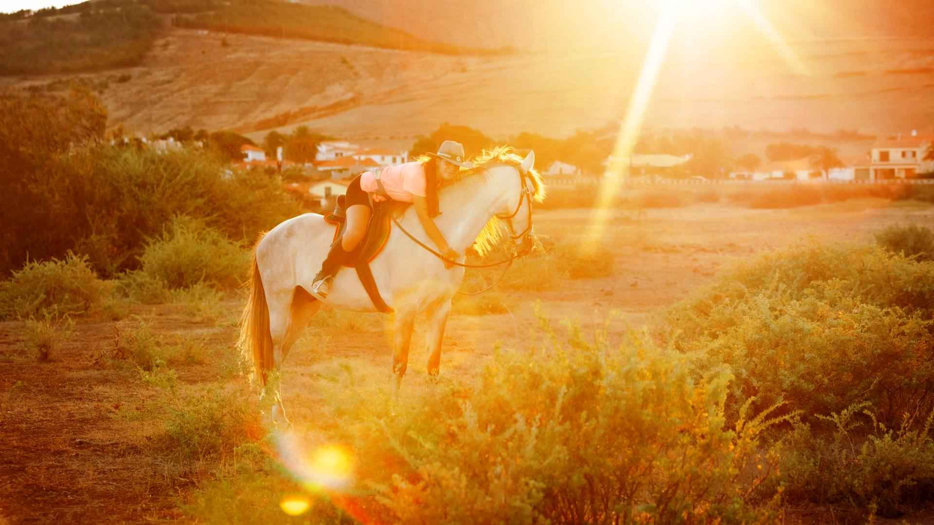 Horse Riding in Porto Santo on the Dunes