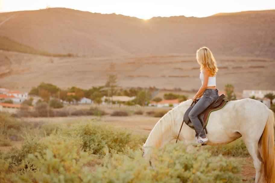 Horse Riding in Porto Santo on the Dunes