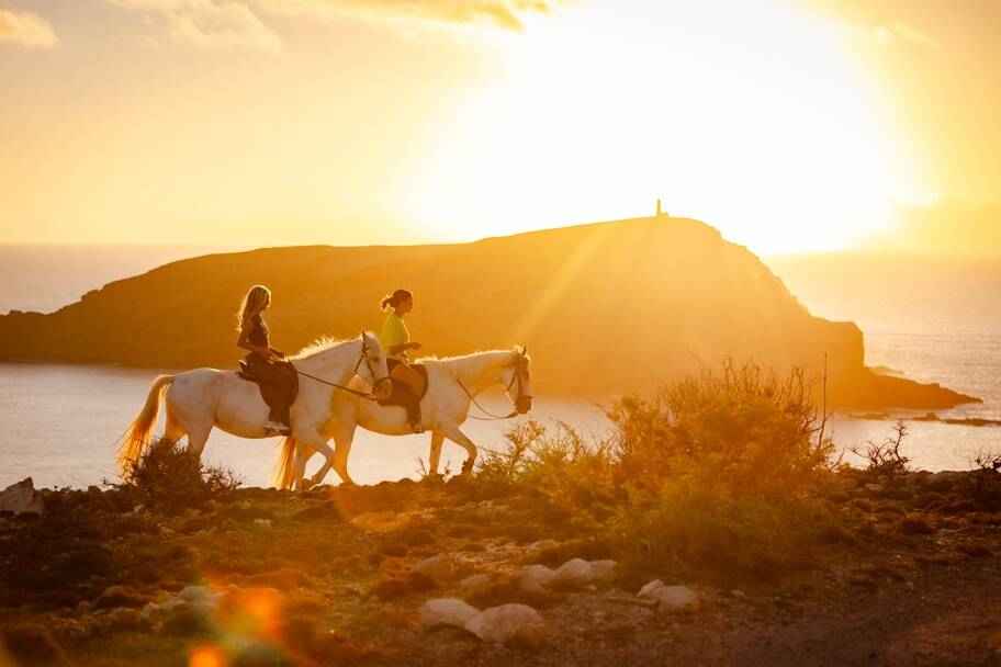 Horse Riding in Porto Santo – Vigia das Baleias Sunset Experience