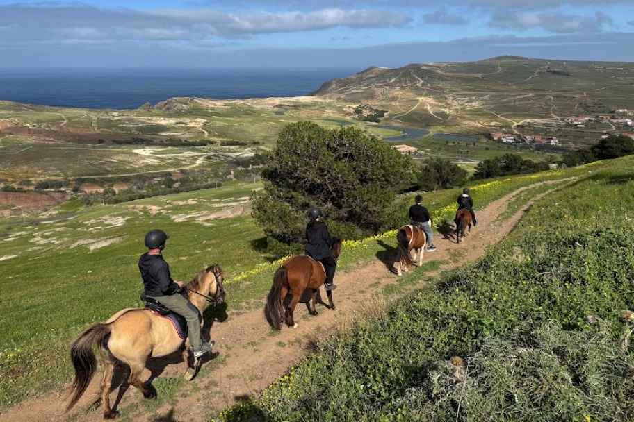 Horseback Adventure Porto Santo – Ride to Ana Ferreira Cave