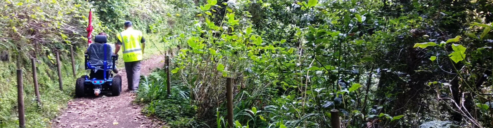 Excursão acessível pela Levada das Queimadas saindo do Funchal