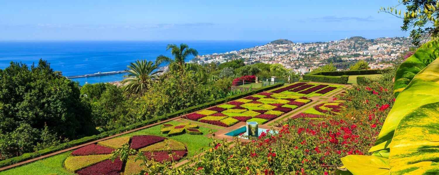 Madeira Botanical Garden Tuk Tuk Tour