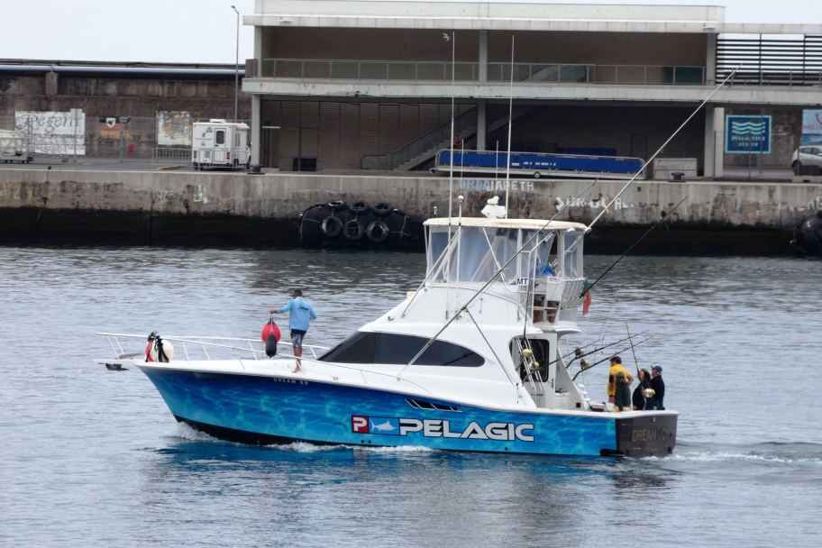 Madeira New Year's Fireworks on a Sports fishing boat