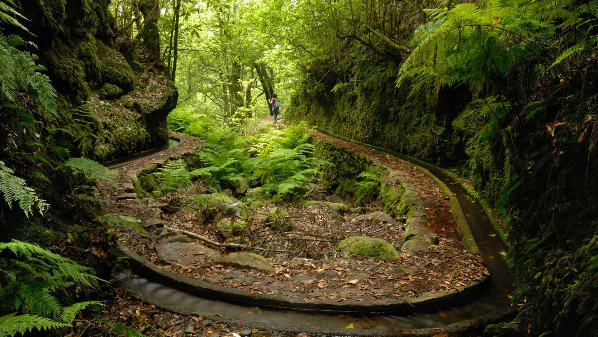 The best from Madeira, by your local guides.