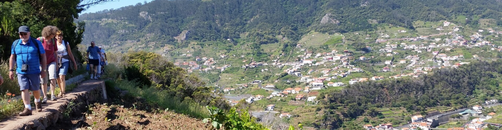 Mimosa Valley Half Day Walk in Madeira