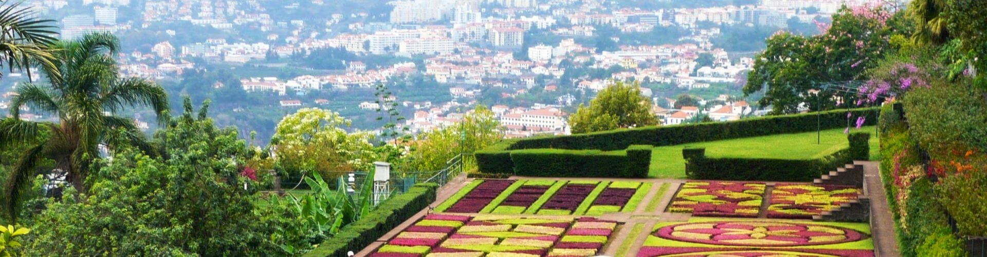 Monte & Botanical Gardens Tour in Madeira