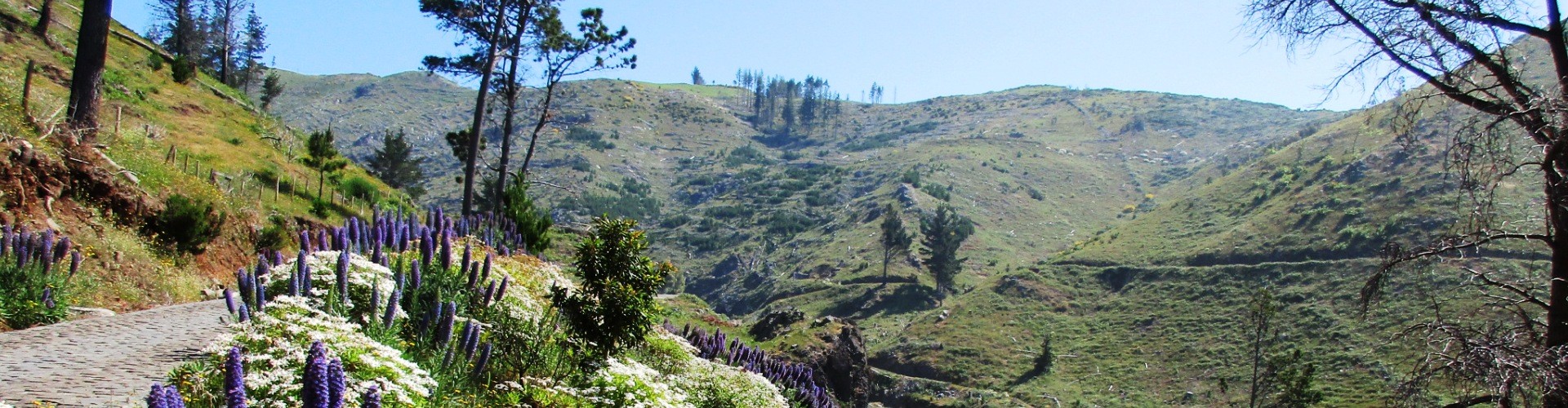 Parque Ecologico do Funchal Ecological Park, Madeira