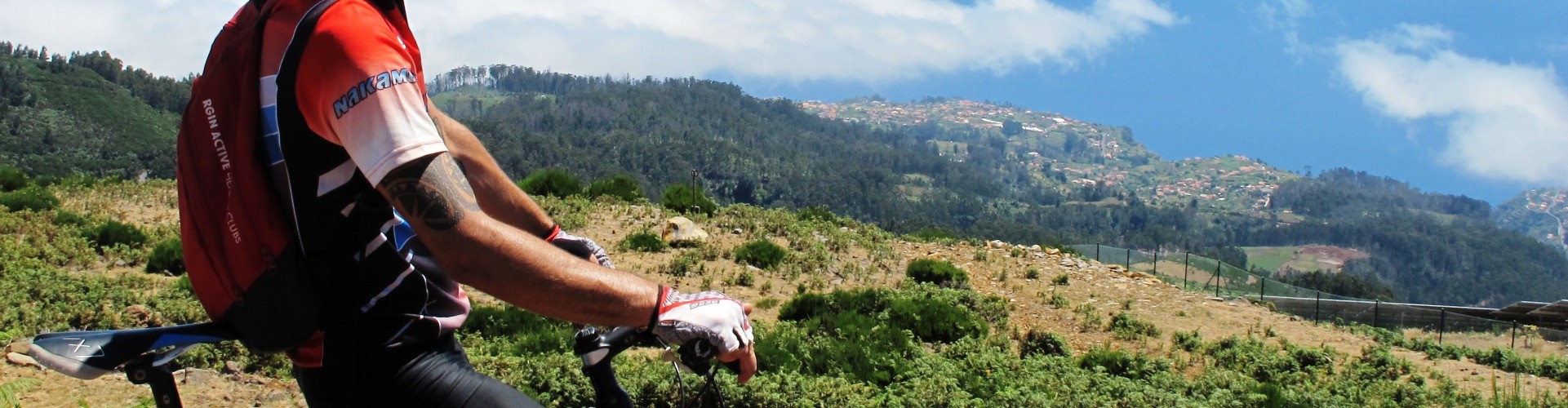 Paul da Serra Ribeira da Janela Bike Tour in Madeira