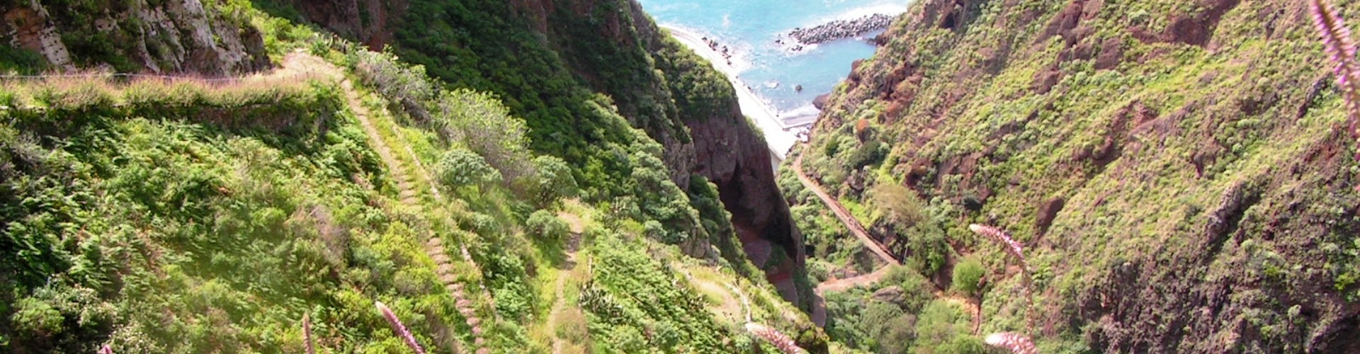 PR19 Caminho Real do Paul do Mar Hiking Trail in Madeira