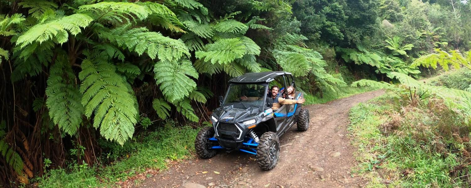 Private buggy tour in Madeira - The Forest Escape
