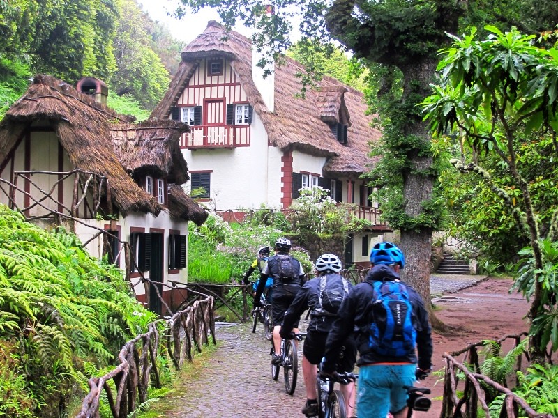bike adventure tours madeira