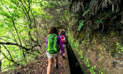 As 5 Melhores Caminhadas nas Levadas da Ilha da Madeira