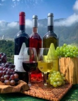 Gastronomic & Wine Tours