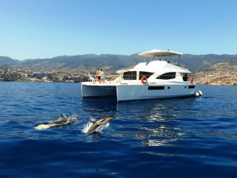 All Inclusive Dolphin and Whale Watching and Sunset Madeira