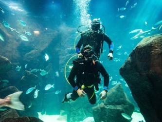 Mergulho no Aquario de Porto Moniz com Transferes