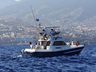 Big Game Fishing on Balancal in Madeira Island