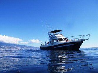 Madeira Big Game Fishing on Balancal – Full Day