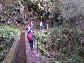 Caldeirão Verde Levada Walk Queimadas in Santana, Madeira