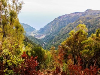 Chão dos Ribeira Trail Tour Médio na Madeira