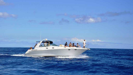 Chartern Sie eine luxuriöse Yacht ab Calheta