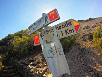 Conquer the Summit Running Tours in Madeira Island