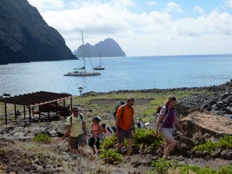 Desertas Islands Catamaran Trip from Funchal