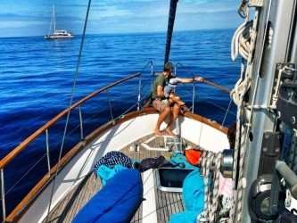 Desertas Islands Tour on Sailboat Madeira
