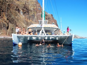 Dolphin and Whale Watching Tour Guaranteed Sighting in Madeira