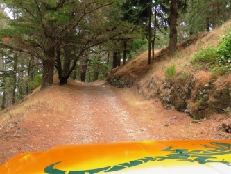 Curral das Freiras & Picos Passeio de Jipe Meio Dia na Ilha da Madeira