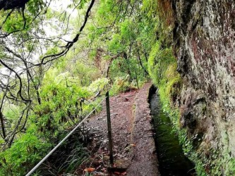 Queimadas - Caldeirão Verde Levada na Ilha da Madeira