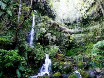 Queimadas - Caldeirão Verde Levada na Ilha da Madeira