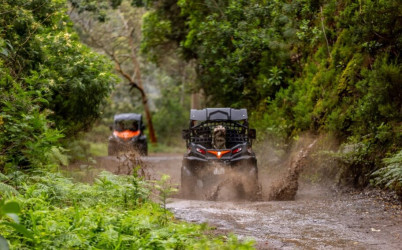 Funduras Buggy Tour in Madeira